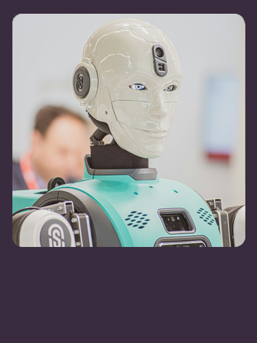 Consumer Robotics