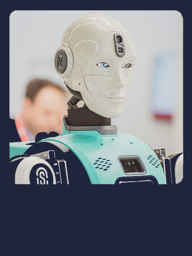 Consumer Robotics