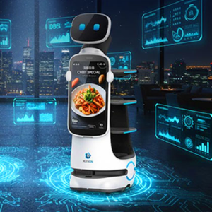 Delivery Robots